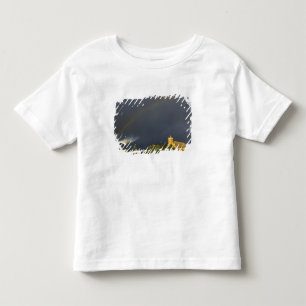 Historiska St Ignatius Mission i St Ignatius, T-shirt