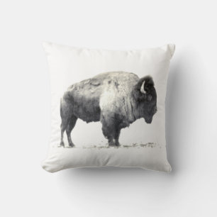 Historiskt fotografi av American Bison Kudde