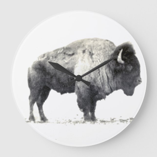 Historiskt fotografi av American Bison Stor Klocka (Framsida)
