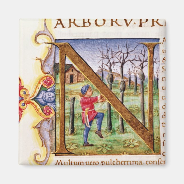 Historiskt inledande 'N' Magnet (Framsidan)