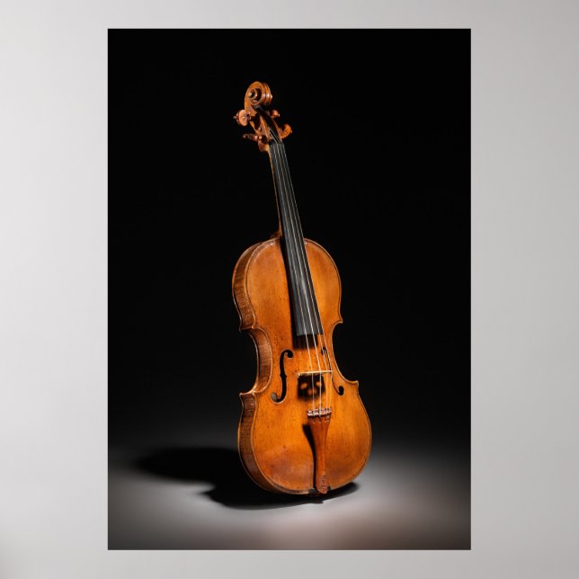 Historiskt italienskt Cello-foto (1560) Poster (Framsidan)