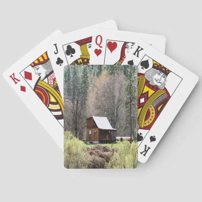 Historiskt skåp av potatisen Bäck.... Casinokort (Baksidan)