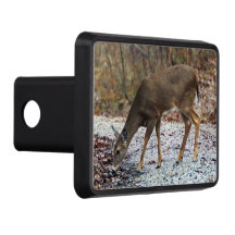 Hitch Cover för White-Tails Hjort