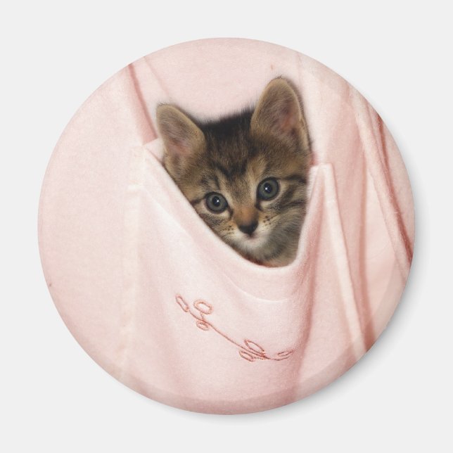 Hitchhiking Magnet (Framsidan)