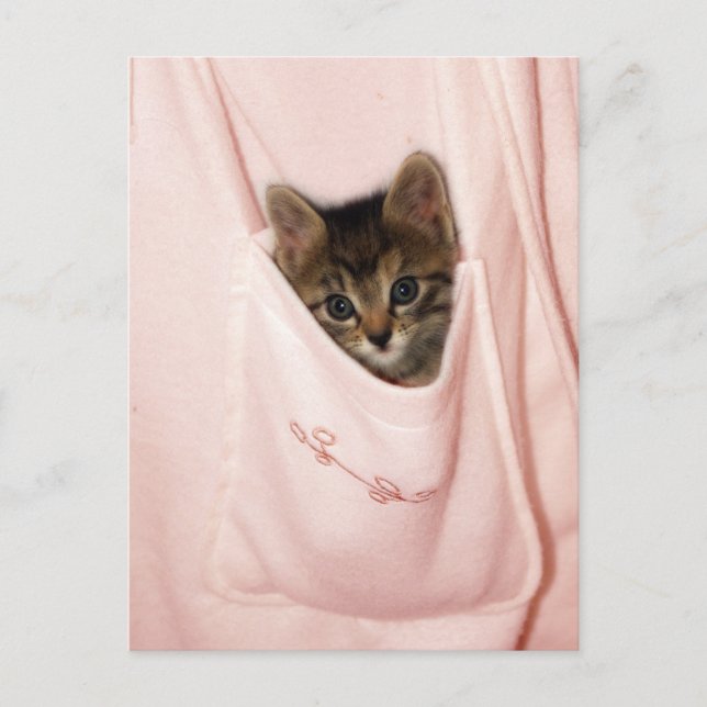 Hitchhiking Vykort (Framsida)