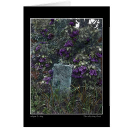 Hitching Post Hälsningskort