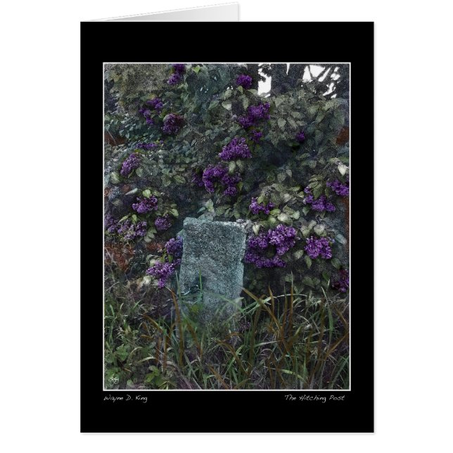 Hitching Post Hälsningskort (Framsidan)