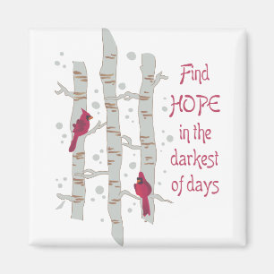 Hitta hopp magnet