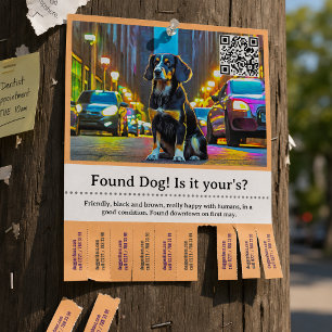 Hitta Hund Mall Avrivbar Reklamblad