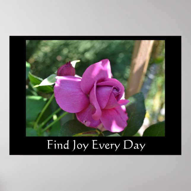 Hitta Joy Ro inspirational Poster (Framsidan)