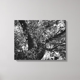 Hitta mig i träd canvastryck