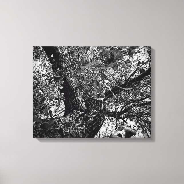 Hitta mig i träd canvastryck (Framsida)