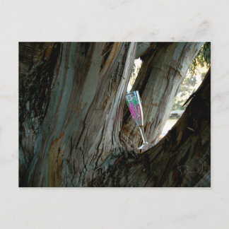 Hitta perfekten ställe och tiden för vin vykort