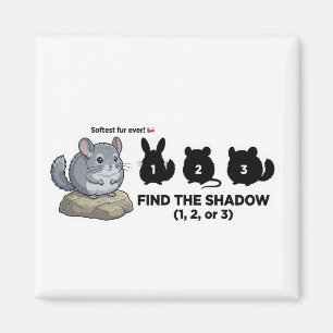 Hitta Shadow Chinchilla Animal World Quest för Magnet