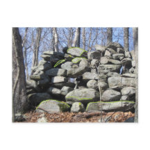 Hitta stenstenen Turtles Ceremonial Stone