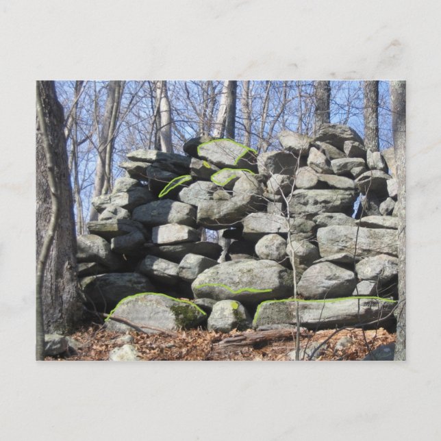Hitta stenstenen Turtles Ceremonial Stone Vykort (Framsida)