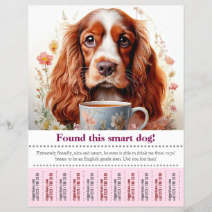 Hittade en engelsk Cocker Spaniel lapp som kan riv Reklamblad