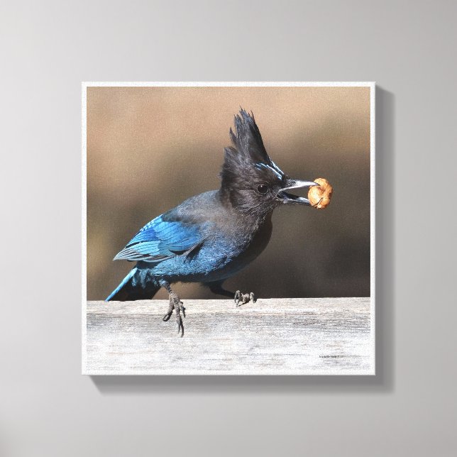 Hittade en jordnöt canvastryck (Framsida)