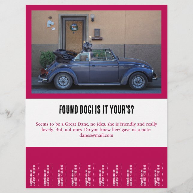hittade en lurvig vän reklamblad (Framsidan)