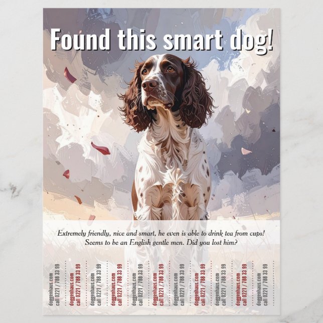 Hittade en Spaniel Tear Off Flyer (Framsidan)