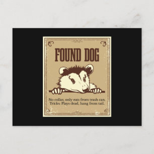 Hittade Hund Opossum Gopher Vykort