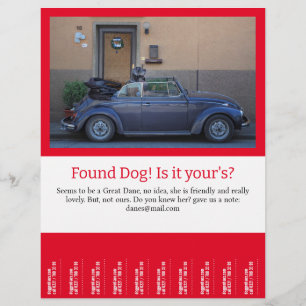 Hittade Hund Tear Av Reklamblad