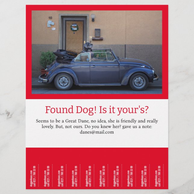 Hittade Hund Tear Av Reklamblad (Framsidan)