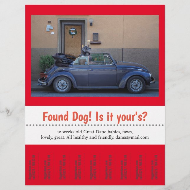 Hittehund avrivningsdel  reklamblad (Framsidan)