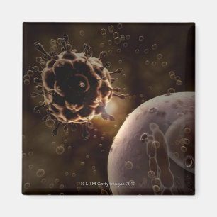 HIV MAGNET