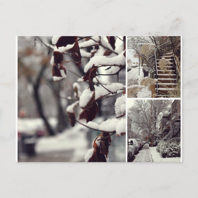 Hiver Vykort (Framsida)