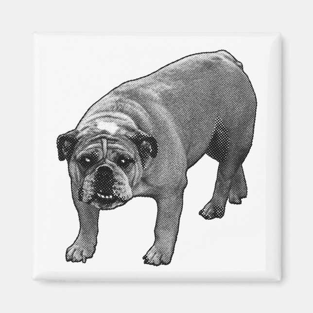Hjälp för fästpunkter magnet (Framsidan)