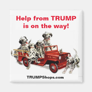 Hjälp från TRUMP är på väg! Magnet