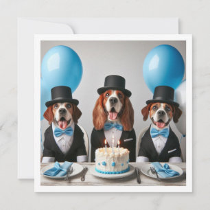 Hjälp till att fira vår lilla gentleman, hund föde inbjudningar