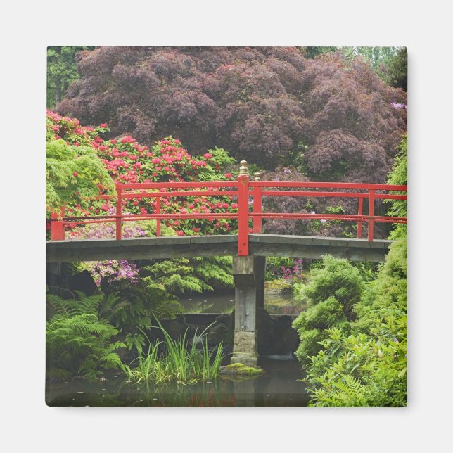 Hjälpbrygga med blommande rhododendron, magnet (Framsidan)