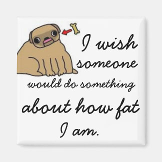 hjälplös fettmagnet magnet