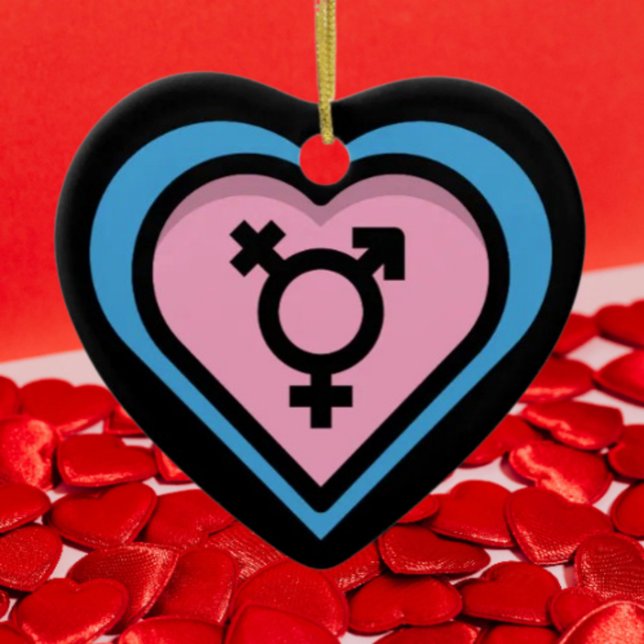Hjälte av Trans Pride-ornament Julgransprydnad Keramik (Skapare uppladdad)