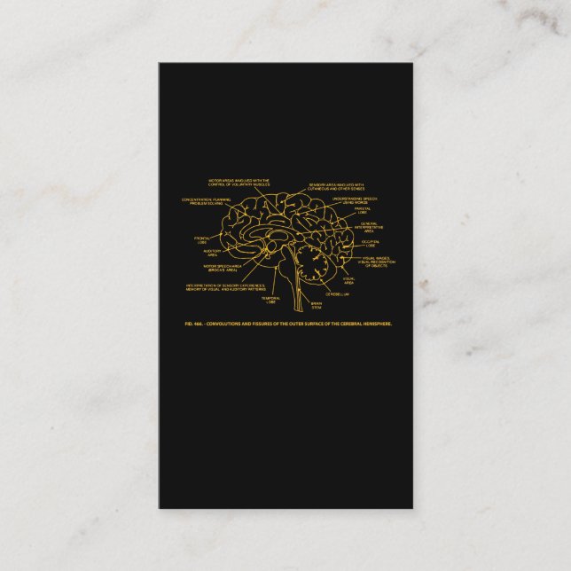 Hjärna för vintagemänniskaanatomi visitkort (Framsida)