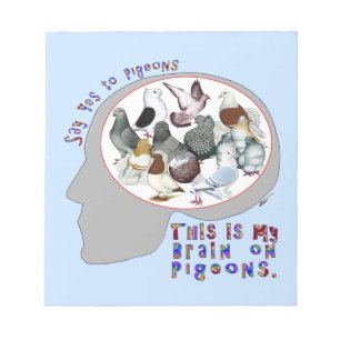 Hjärna på pigeons anteckningsblock