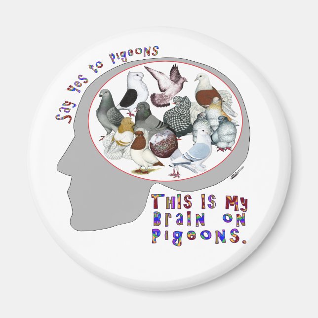 Hjärna på pigeons magnet (Framsidan)