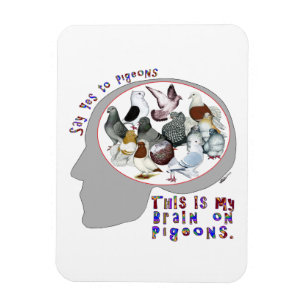Hjärna på pigeons magnet