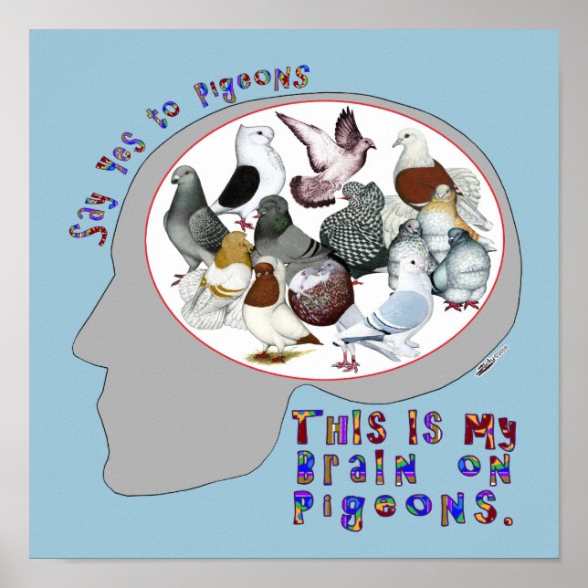 Hjärna på pigeons poster (Framsidan)