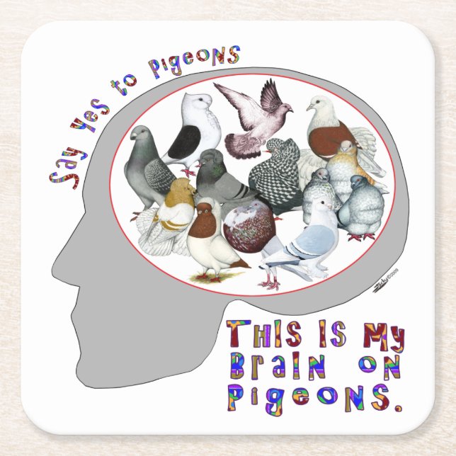 Hjärna på pigeons underlägg papper kvadrat (Framsidan)