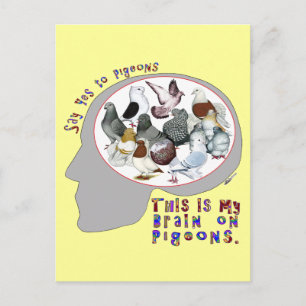 Hjärna på pigeons vykort