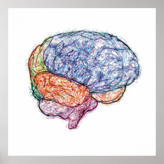 hjärna poster