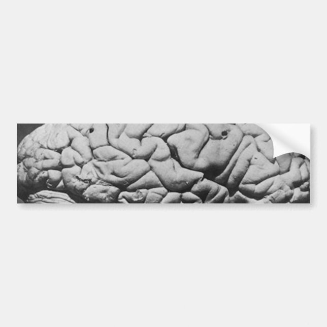 HJÄRNAN AV CHARLES BABBAGE (1909) BILDEKAL (Framsidan)