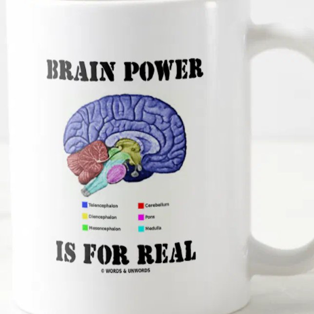 Hjärnan Power är för verkligt Kaffemugg (Do a double-take on brain power with anatomical attitude with this truism saying mug!)
