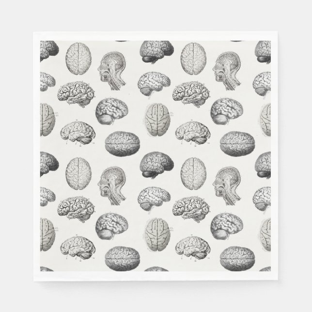 Hjärnanatomi Biologi Illustrationer Pappersservett (Framsidan)
