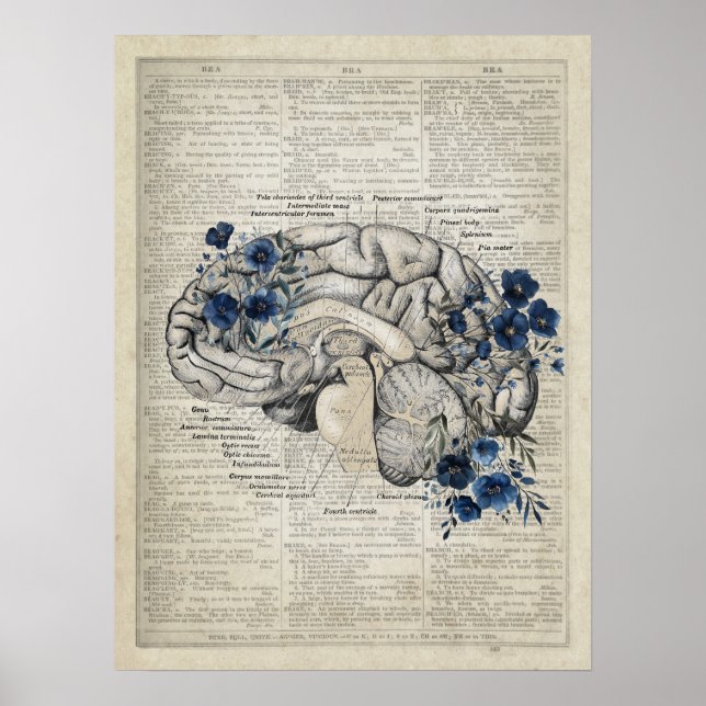Hjärnanatomi med Blåa blommor Navy Medical Art Poster (Framsidan)