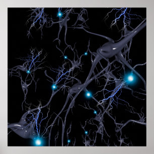 Hjärnceller. Neurons Poster