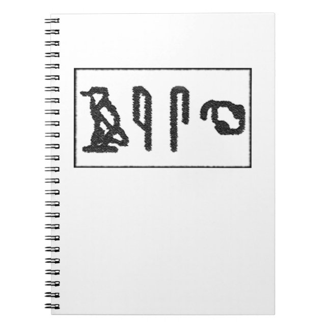 Hjärnhieroglyfi Anteckningsbok Med Spiral (Framsidan)